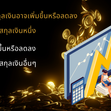 มูลค่าของสกุลเงินอาจเพิ่มขึ้นหรือลดลงเมื่อเทียบกับสกุลเงินหนึ่ง และอาจเพิ่มหรือลดลงเมื่อเทียบกับสกุลเงินอื่นๆ