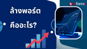ล้างพอร์ต คืออะไร?