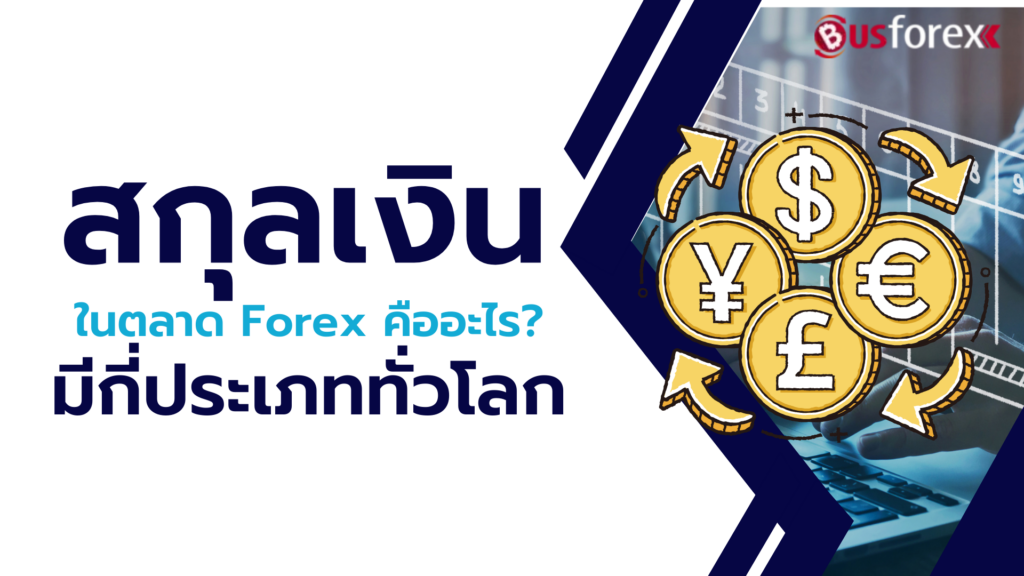 สกุลเงินในตลาด Forex คืออะไร และมีกี่ประเภททั่วโลก?