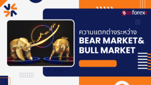 ความแตกต่างระหว่าง Bear Market และ Bull Market