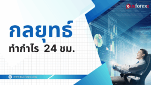 กลยุทธ์ทำกำไร 24 ชม.