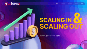 Scaling In & Scaling Out